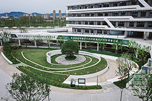 南京金地未來學校藝術班有哪些課程？